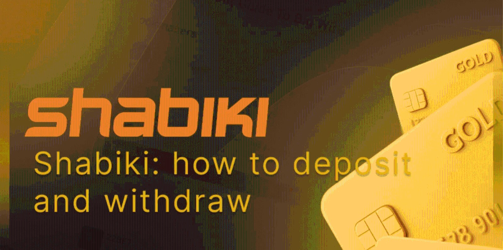 Payment Options at Shabiki